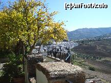 [P81] dintr-una dintre gradinile palatului mondragon, vedere catre vale » foto by a.sr*
 - 
<span class="allrVoted glyphicon glyphicon-heart hidden" id="av279838"></span>
<a class="m-l-10 hidden" id="sv279838" onclick="voting_Foto_DelVot(,279838,19508)" role="button">șterge vot <span class="glyphicon glyphicon-remove"></span></a>
<a id="v9279838" class=" c-red"  onclick="voting_Foto_SetVot(279838)" role="button"><span class="glyphicon glyphicon-heart-empty"></span> <b>LIKE</b> = Votează poza</a> <img class="hidden"  id="f279838W9" src="/imagini/loader.gif" border="0" /><span class="AjErrMes hidden" id="e279838ErM"></span>