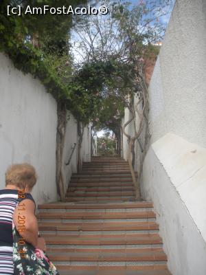 [P49 <small>[nov. 2016]</small>] una din scarile inguste care faceau legatura intre faleza si strada principala a statiunii » foto by artemisa24
 - 
<span class="allrVoted glyphicon glyphicon-heart hidden" id="av945062"></span>
<a class="m-l-10 hidden" id="sv945062" onclick="voting_Foto_DelVot(,945062,19610)" role="button">șterge vot <span class="glyphicon glyphicon-remove"></span></a>
<a id="v9945062" class=" c-red"  onclick="voting_Foto_SetVot(945062)" role="button"><span class="glyphicon glyphicon-heart-empty"></span> <b>LIKE</b> = Votează poza</a> <img class="hidden"  id="f945062W9" src="/imagini/loader.gif" border="0" /><span class="AjErrMes hidden" id="e945062ErM"></span>