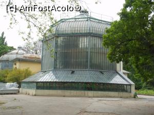 [P44] București - Grădina Botanică "Dimitrie Brândză". Sera veche. » foto by iulianic
 - 
<span class="allrVoted glyphicon glyphicon-heart hidden" id="av1364238"></span>
<a class="m-l-10 hidden" id="sv1364238" onclick="voting_Foto_DelVot(,1364238,19622)" role="button">șterge vot <span class="glyphicon glyphicon-remove"></span></a>
<a id="v91364238" class=" c-red"  onclick="voting_Foto_SetVot(1364238)" role="button"><span class="glyphicon glyphicon-heart-empty"></span> <b>LIKE</b> = Votează poza</a> <img class="hidden"  id="f1364238W9" src="/imagini/loader.gif" border="0" /><span class="AjErrMes hidden" id="e1364238ErM"></span>