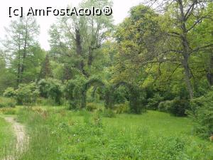 [P46]  -- <small>// FĂRĂ DESCRIERE</small> » foto by iulianic
 - 
<span class="allrVoted glyphicon glyphicon-heart hidden" id="av1364240"></span>
<a class="m-l-10 hidden" id="sv1364240" onclick="voting_Foto_DelVot(,1364240,19622)" role="button">șterge vot <span class="glyphicon glyphicon-remove"></span></a>
<a id="v91364240" class=" c-red"  onclick="voting_Foto_SetVot(1364240)" role="button"><span class="glyphicon glyphicon-heart-empty"></span> <b>LIKE</b> = Votează poza</a> <img class="hidden"  id="f1364240W9" src="/imagini/loader.gif" border="0" /><span class="AjErrMes hidden" id="e1364240ErM"></span>