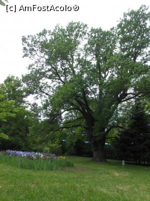 [P53]  -- <small>// FĂRĂ DESCRIERE</small> » foto by iulianic
 - 
<span class="allrVoted glyphicon glyphicon-heart hidden" id="av1364247"></span>
<a class="m-l-10 hidden" id="sv1364247" onclick="voting_Foto_DelVot(,1364247,19622)" role="button">șterge vot <span class="glyphicon glyphicon-remove"></span></a>
<a id="v91364247" class=" c-red"  onclick="voting_Foto_SetVot(1364247)" role="button"><span class="glyphicon glyphicon-heart-empty"></span> <b>LIKE</b> = Votează poza</a> <img class="hidden"  id="f1364247W9" src="/imagini/loader.gif" border="0" /><span class="AjErrMes hidden" id="e1364247ErM"></span>