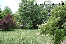 [P25] În Iridarium, irişii se scuturaseră deja » foto by Costi
 - 
<span class="allrVoted glyphicon glyphicon-heart hidden" id="av83372"></span>
<a class="m-l-10 hidden" id="sv83372" onclick="voting_Foto_DelVot(,83372,19622)" role="button">șterge vot <span class="glyphicon glyphicon-remove"></span></a>
<a id="v983372" class=" c-red"  onclick="voting_Foto_SetVot(83372)" role="button"><span class="glyphicon glyphicon-heart-empty"></span> <b>LIKE</b> = Votează poza</a> <img class="hidden"  id="f83372W9" src="/imagini/loader.gif" border="0" /><span class="AjErrMes hidden" id="e83372ErM"></span>