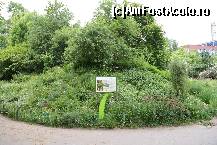 [P26] Colina cu flora Dobrogei » foto by Costi
 - 
<span class="allrVoted glyphicon glyphicon-heart hidden" id="av83374"></span>
<a class="m-l-10 hidden" id="sv83374" onclick="voting_Foto_DelVot(,83374,19622)" role="button">șterge vot <span class="glyphicon glyphicon-remove"></span></a>
<a id="v983374" class=" c-red"  onclick="voting_Foto_SetVot(83374)" role="button"><span class="glyphicon glyphicon-heart-empty"></span> <b>LIKE</b> = Votează poza</a> <img class="hidden"  id="f83374W9" src="/imagini/loader.gif" border="0" /><span class="AjErrMes hidden" id="e83374ErM"></span>