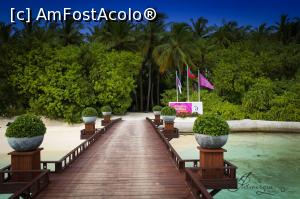 [P11] Intrarea pe insula cand vii cu barca » foto by andreea_kamelya
 - 
<span class="allrVoted glyphicon glyphicon-heart hidden" id="av819354"></span>
<a class="m-l-10 hidden" id="sv819354" onclick="voting_Foto_DelVot(,819354,19625)" role="button">șterge vot <span class="glyphicon glyphicon-remove"></span></a>
<a id="v9819354" class=" c-red"  onclick="voting_Foto_SetVot(819354)" role="button"><span class="glyphicon glyphicon-heart-empty"></span> <b>LIKE</b> = Votează poza</a> <img class="hidden"  id="f819354W9" src="/imagini/loader.gif" border="0" /><span class="AjErrMes hidden" id="e819354ErM"></span>