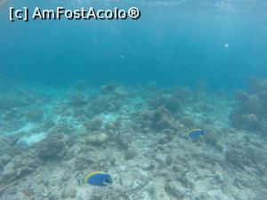 [P18]  -- <small>// FĂRĂ DESCRIERE</small> » foto by andreea_kamelya
 - 
<span class="allrVoted glyphicon glyphicon-heart hidden" id="av819361"></span>
<a class="m-l-10 hidden" id="sv819361" onclick="voting_Foto_DelVot(,819361,19625)" role="button">șterge vot <span class="glyphicon glyphicon-remove"></span></a>
<a id="v9819361" class=" c-red"  onclick="voting_Foto_SetVot(819361)" role="button"><span class="glyphicon glyphicon-heart-empty"></span> <b>LIKE</b> = Votează poza</a> <img class="hidden"  id="f819361W9" src="/imagini/loader.gif" border="0" /><span class="AjErrMes hidden" id="e819361ErM"></span>