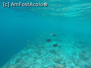 [P19] In stange se vede cum brusc apa se adancea...  » foto by andreea_kamelya
 - 
<span class="allrVoted glyphicon glyphicon-heart hidden" id="av819362"></span>
<a class="m-l-10 hidden" id="sv819362" onclick="voting_Foto_DelVot(,819362,19625)" role="button">șterge vot <span class="glyphicon glyphicon-remove"></span></a>
<a id="v9819362" class=" c-red"  onclick="voting_Foto_SetVot(819362)" role="button"><span class="glyphicon glyphicon-heart-empty"></span> <b>LIKE</b> = Votează poza</a> <img class="hidden"  id="f819362W9" src="/imagini/loader.gif" border="0" /><span class="AjErrMes hidden" id="e819362ErM"></span>