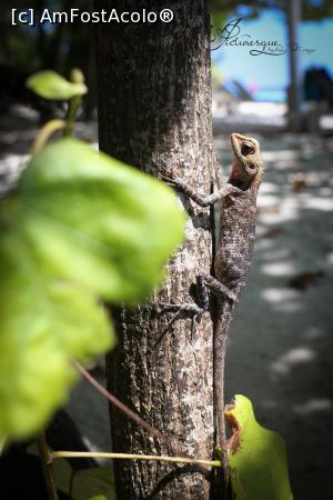 [P26]  :)  » foto by andreea_kamelya
 - 
<span class="allrVoted glyphicon glyphicon-heart hidden" id="av819369"></span>
<a class="m-l-10 hidden" id="sv819369" onclick="voting_Foto_DelVot(,819369,19625)" role="button">șterge vot <span class="glyphicon glyphicon-remove"></span></a>
<a id="v9819369" class=" c-red"  onclick="voting_Foto_SetVot(819369)" role="button"><span class="glyphicon glyphicon-heart-empty"></span> <b>LIKE</b> = Votează poza</a> <img class="hidden"  id="f819369W9" src="/imagini/loader.gif" border="0" /><span class="AjErrMes hidden" id="e819369ErM"></span>