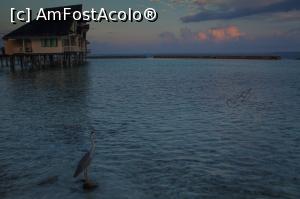 [P03] Inainte de rasarit » foto by andreea_kamelya
 - 
<span class="allrVoted glyphicon glyphicon-heart hidden" id="av819346"></span>
<a class="m-l-10 hidden" id="sv819346" onclick="voting_Foto_DelVot(,819346,19625)" role="button">șterge vot <span class="glyphicon glyphicon-remove"></span></a>
<a id="v9819346" class=" c-red"  onclick="voting_Foto_SetVot(819346)" role="button"><span class="glyphicon glyphicon-heart-empty"></span> <b>LIKE</b> = Votează poza</a> <img class="hidden"  id="f819346W9" src="/imagini/loader.gif" border="0" /><span class="AjErrMes hidden" id="e819346ErM"></span>