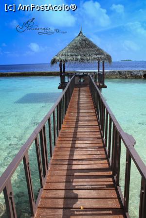 [P05] Romantic corner » foto by andreea_kamelya
 - 
<span class="allrVoted glyphicon glyphicon-heart hidden" id="av819348"></span>
<a class="m-l-10 hidden" id="sv819348" onclick="voting_Foto_DelVot(,819348,19625)" role="button">șterge vot <span class="glyphicon glyphicon-remove"></span></a>
<a id="v9819348" class=" c-red"  onclick="voting_Foto_SetVot(819348)" role="button"><span class="glyphicon glyphicon-heart-empty"></span> <b>LIKE</b> = Votează poza</a> <img class="hidden"  id="f819348W9" src="/imagini/loader.gif" border="0" /><span class="AjErrMes hidden" id="e819348ErM"></span>