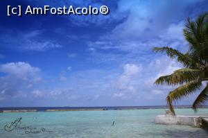 [P06] Vedere din fata casei » foto by andreea_kamelya
 - 
<span class="allrVoted glyphicon glyphicon-heart hidden" id="av819349"></span>
<a class="m-l-10 hidden" id="sv819349" onclick="voting_Foto_DelVot(,819349,19625)" role="button">șterge vot <span class="glyphicon glyphicon-remove"></span></a>
<a id="v9819349" class=" c-red"  onclick="voting_Foto_SetVot(819349)" role="button"><span class="glyphicon glyphicon-heart-empty"></span> <b>LIKE</b> = Votează poza</a> <img class="hidden"  id="f819349W9" src="/imagini/loader.gif" border="0" /><span class="AjErrMes hidden" id="e819349ErM"></span>