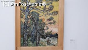 [P24] Van Gogh-Pine trees at sunset » foto by mireille
 - 
<span class="allrVoted glyphicon glyphicon-heart hidden" id="av1159417"></span>
<a class="m-l-10 hidden" id="sv1159417" onclick="voting_Foto_DelVot(,1159417,19676)" role="button">șterge vot <span class="glyphicon glyphicon-remove"></span></a>
<a id="v91159417" class=" c-red"  onclick="voting_Foto_SetVot(1159417)" role="button"><span class="glyphicon glyphicon-heart-empty"></span> <b>LIKE</b> = Votează poza</a> <img class="hidden"  id="f1159417W9" src="/imagini/loader.gif" border="0" /><span class="AjErrMes hidden" id="e1159417ErM"></span>
