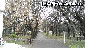 [P02] Parcul Mare din Salonta, vedere de ansamblu.  » foto by bogumil
 - 
<span class="allrVoted glyphicon glyphicon-heart hidden" id="av695008"></span>
<a class="m-l-10 hidden" id="sv695008" onclick="voting_Foto_DelVot(,695008,19687)" role="button">șterge vot <span class="glyphicon glyphicon-remove"></span></a>
<a id="v9695008" class=" c-red"  onclick="voting_Foto_SetVot(695008)" role="button"><span class="glyphicon glyphicon-heart-empty"></span> <b>LIKE</b> = Votează poza</a> <img class="hidden"  id="f695008W9" src="/imagini/loader.gif" border="0" /><span class="AjErrMes hidden" id="e695008ErM"></span>