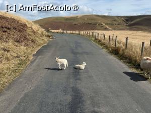 [P16] ”măgarii” de pe Transalpina » foto by icata24
 - 
<span class="allrVoted glyphicon glyphicon-heart hidden" id="av1480807"></span>
<a class="m-l-10 hidden" id="sv1480807" onclick="voting_Foto_DelVot(,1480807,19690)" role="button">șterge vot <span class="glyphicon glyphicon-remove"></span></a>
<a id="v91480807" class=" c-red"  onclick="voting_Foto_SetVot(1480807)" role="button"><span class="glyphicon glyphicon-heart-empty"></span> <b>LIKE</b> = Votează poza</a> <img class="hidden"  id="f1480807W9" src="/imagini/loader.gif" border="0" /><span class="AjErrMes hidden" id="e1480807ErM"></span>