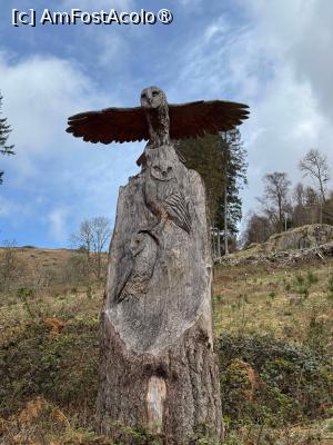 [P18] cineva a făcut aceste sculpturi în lemn » foto by icata24
 - 
<span class="allrVoted glyphicon glyphicon-heart hidden" id="av1480809"></span>
<a class="m-l-10 hidden" id="sv1480809" onclick="voting_Foto_DelVot(,1480809,19690)" role="button">șterge vot <span class="glyphicon glyphicon-remove"></span></a>
<a id="v91480809" class=" c-red"  onclick="voting_Foto_SetVot(1480809)" role="button"><span class="glyphicon glyphicon-heart-empty"></span> <b>LIKE</b> = Votează poza</a> <img class="hidden"  id="f1480809W9" src="/imagini/loader.gif" border="0" /><span class="AjErrMes hidden" id="e1480809ErM"></span>