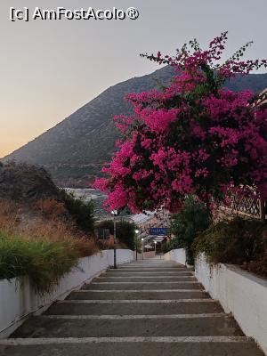 [P01] Drumul spre plaja Livadi » foto by anamaria_2010
 - 
<span class="allrVoted glyphicon glyphicon-heart hidden" id="av1497598"></span>
<a class="m-l-10 hidden" id="sv1497598" onclick="voting_Foto_DelVot(,1497598,19703)" role="button">șterge vot <span class="glyphicon glyphicon-remove"></span></a>
<a id="v91497598" class=" c-red"  onclick="voting_Foto_SetVot(1497598)" role="button"><span class="glyphicon glyphicon-heart-empty"></span> <b>LIKE</b> = Votează poza</a> <img class="hidden"  id="f1497598W9" src="/imagini/loader.gif" border="0" /><span class="AjErrMes hidden" id="e1497598ErM"></span>