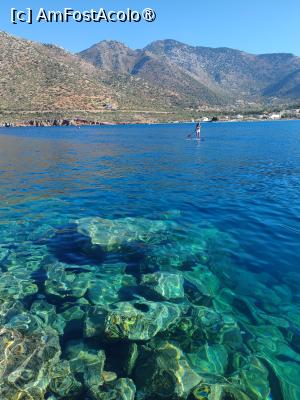 [P05] Poza din poetul Bali » foto by anamaria_2010
 - 
<span class="allrVoted glyphicon glyphicon-heart hidden" id="av1497602"></span>
<a class="m-l-10 hidden" id="sv1497602" onclick="voting_Foto_DelVot(,1497602,19703)" role="button">șterge vot <span class="glyphicon glyphicon-remove"></span></a>
<a id="v91497602" class=" c-red"  onclick="voting_Foto_SetVot(1497602)" role="button"><span class="glyphicon glyphicon-heart-empty"></span> <b>LIKE</b> = Votează poza</a> <img class="hidden"  id="f1497602W9" src="/imagini/loader.gif" border="0" /><span class="AjErrMes hidden" id="e1497602ErM"></span>