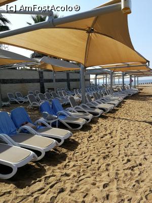 [P14] O parte din plaja la ora 9. Nu prea se practica trezitul la ora 6 sa ocupam șezlonguri...  » foto by M'Liviu
 - 
<span class="allrVoted glyphicon glyphicon-heart hidden" id="av1087148"></span>
<a class="m-l-10 hidden" id="sv1087148" onclick="voting_Foto_DelVot(,1087148,19722)" role="button">șterge vot <span class="glyphicon glyphicon-remove"></span></a>
<a id="v91087148" class=" c-red"  onclick="voting_Foto_SetVot(1087148)" role="button"><span class="glyphicon glyphicon-heart-empty"></span> <b>LIKE</b> = Votează poza</a> <img class="hidden"  id="f1087148W9" src="/imagini/loader.gif" border="0" /><span class="AjErrMes hidden" id="e1087148ErM"></span>
