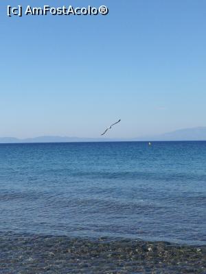 [P46] Egeea și perla ei. Sunis Efes Royal!  » foto by M'Liviu
 - 
<span class="allrVoted glyphicon glyphicon-heart hidden" id="av1087252"></span>
<a class="m-l-10 hidden" id="sv1087252" onclick="voting_Foto_DelVot(,1087252,19722)" role="button">șterge vot <span class="glyphicon glyphicon-remove"></span></a>
<a id="v91087252" class=" c-red"  onclick="voting_Foto_SetVot(1087252)" role="button"><span class="glyphicon glyphicon-heart-empty"></span> <b>LIKE</b> = Votează poza</a> <img class="hidden"  id="f1087252W9" src="/imagini/loader.gif" border="0" /><span class="AjErrMes hidden" id="e1087252ErM"></span>