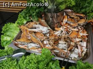 [P06] Seara de fructe de mare » foto by M'Liviu
 - 
<span class="allrVoted glyphicon glyphicon-heart hidden" id="av1087130"></span>
<a class="m-l-10 hidden" id="sv1087130" onclick="voting_Foto_DelVot(,1087130,19722)" role="button">șterge vot <span class="glyphicon glyphicon-remove"></span></a>
<a id="v91087130" class=" c-red"  onclick="voting_Foto_SetVot(1087130)" role="button"><span class="glyphicon glyphicon-heart-empty"></span> <b>LIKE</b> = Votează poza</a> <img class="hidden"  id="f1087130W9" src="/imagini/loader.gif" border="0" /><span class="AjErrMes hidden" id="e1087130ErM"></span>