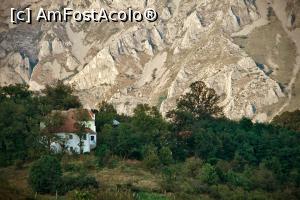 [P05] Din alta lume...  » foto by dranal
 - 
<span class="allrVoted glyphicon glyphicon-heart hidden" id="av797606"></span>
<a class="m-l-10 hidden" id="sv797606" onclick="voting_Foto_DelVot(,797606,19767)" role="button">șterge vot <span class="glyphicon glyphicon-remove"></span></a>
<a id="v9797606" class=" c-red"  onclick="voting_Foto_SetVot(797606)" role="button"><span class="glyphicon glyphicon-heart-empty"></span> <b>LIKE</b> = Votează poza</a> <img class="hidden"  id="f797606W9" src="/imagini/loader.gif" border="0" /><span class="AjErrMes hidden" id="e797606ErM"></span>