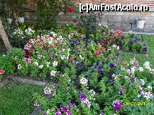 [P15] foarte multe flori in gradina manastirii » foto by ms65
 - 
<span class="allrVoted glyphicon glyphicon-heart hidden" id="av92909"></span>
<a class="m-l-10 hidden" id="sv92909" onclick="voting_Foto_DelVot(,92909,19770)" role="button">șterge vot <span class="glyphicon glyphicon-remove"></span></a>
<a id="v992909" class=" c-red"  onclick="voting_Foto_SetVot(92909)" role="button"><span class="glyphicon glyphicon-heart-empty"></span> <b>LIKE</b> = Votează poza</a> <img class="hidden"  id="f92909W9" src="/imagini/loader.gif" border="0" /><span class="AjErrMes hidden" id="e92909ErM"></span>