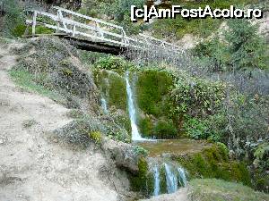 [P03] Mici cascade din aval de Pişoaia » foto by Claudiu U.
 - 
<span class="allrVoted glyphicon glyphicon-heart hidden" id="av700213"></span>
<a class="m-l-10 hidden" id="sv700213" onclick="voting_Foto_DelVot(,700213,19774)" role="button">șterge vot <span class="glyphicon glyphicon-remove"></span></a>
<a id="v9700213" class=" c-red"  onclick="voting_Foto_SetVot(700213)" role="button"><span class="glyphicon glyphicon-heart-empty"></span> <b>LIKE</b> = Votează poza</a> <img class="hidden"  id="f700213W9" src="/imagini/loader.gif" border="0" /><span class="AjErrMes hidden" id="e700213ErM"></span>