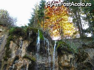 [P06] Pragul stâncos acoperit de muşchi pe care se scurge apa » foto by Claudiu U.
 - 
<span class="allrVoted glyphicon glyphicon-heart hidden" id="av700216"></span>
<a class="m-l-10 hidden" id="sv700216" onclick="voting_Foto_DelVot(,700216,19774)" role="button">șterge vot <span class="glyphicon glyphicon-remove"></span></a>
<a id="v9700216" class=" c-red"  onclick="voting_Foto_SetVot(700216)" role="button"><span class="glyphicon glyphicon-heart-empty"></span> <b>LIKE</b> = Votează poza</a> <img class="hidden"  id="f700216W9" src="/imagini/loader.gif" border="0" /><span class="AjErrMes hidden" id="e700216ErM"></span>
