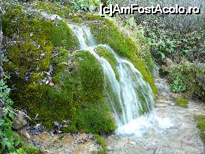 [P08] ... şi o altă 'căscăduţă' :)  » foto by Claudiu U.
 - 
<span class="allrVoted glyphicon glyphicon-heart hidden" id="av700218"></span>
<a class="m-l-10 hidden" id="sv700218" onclick="voting_Foto_DelVot(,700218,19774)" role="button">șterge vot <span class="glyphicon glyphicon-remove"></span></a>
<a id="v9700218" class=" c-red"  onclick="voting_Foto_SetVot(700218)" role="button"><span class="glyphicon glyphicon-heart-empty"></span> <b>LIKE</b> = Votează poza</a> <img class="hidden"  id="f700218W9" src="/imagini/loader.gif" border="0" /><span class="AjErrMes hidden" id="e700218ErM"></span>