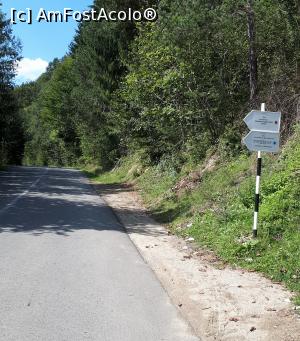 [P31] Cascada Pișoaia Vidrii, sat Nemeși, com. Vidra, Munții Apuseni<p> drumul spre cascada, Ariesul Mic » foto by Dana2008
 - 
<span class="allrVoted glyphicon glyphicon-heart hidden" id="av1040797"></span>
<a class="m-l-10 hidden" id="sv1040797" onclick="voting_Foto_DelVot(,1040797,19774)" role="button">șterge vot <span class="glyphicon glyphicon-remove"></span></a>
<a id="v91040797" class=" c-red"  onclick="voting_Foto_SetVot(1040797)" role="button"><span class="glyphicon glyphicon-heart-empty"></span> <b>LIKE</b> = Votează poza</a> <img class="hidden"  id="f1040797W9" src="/imagini/loader.gif" border="0" /><span class="AjErrMes hidden" id="e1040797ErM"></span>