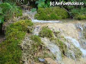 [P07] „Cascada Pişoaia” » foto by Utube
 - 
<span class="allrVoted glyphicon glyphicon-heart hidden" id="av410638"></span>
<a class="m-l-10 hidden" id="sv410638" onclick="voting_Foto_DelVot(,410638,19774)" role="button">șterge vot <span class="glyphicon glyphicon-remove"></span></a>
<a id="v9410638" class=" c-red"  onclick="voting_Foto_SetVot(410638)" role="button"><span class="glyphicon glyphicon-heart-empty"></span> <b>LIKE</b> = Votează poza</a> <img class="hidden"  id="f410638W9" src="/imagini/loader.gif" border="0" /><span class="AjErrMes hidden" id="e410638ErM"></span>