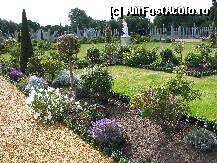 [P09] Hampton Court » foto by contafa
 - 
<span class="allrVoted glyphicon glyphicon-heart hidden" id="av259808"></span>
<a class="m-l-10 hidden" id="sv259808" onclick="voting_Foto_DelVot(,259808,19896)" role="button">șterge vot <span class="glyphicon glyphicon-remove"></span></a>
<a id="v9259808" class=" c-red"  onclick="voting_Foto_SetVot(259808)" role="button"><span class="glyphicon glyphicon-heart-empty"></span> <b>LIKE</b> = Votează poza</a> <img class="hidden"  id="f259808W9" src="/imagini/loader.gif" border="0" /><span class="AjErrMes hidden" id="e259808ErM"></span>