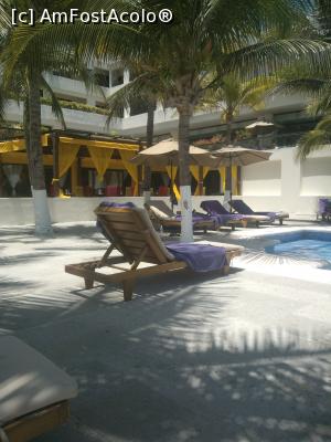 [P08] palmierii din jurul piscinei » foto by dan39
 - 
<span class="allrVoted glyphicon glyphicon-heart hidden" id="av711018"></span>
<a class="m-l-10 hidden" id="sv711018" onclick="voting_Foto_DelVot(,711018,19926)" role="button">șterge vot <span class="glyphicon glyphicon-remove"></span></a>
<a id="v9711018" class=" c-red"  onclick="voting_Foto_SetVot(711018)" role="button"><span class="glyphicon glyphicon-heart-empty"></span> <b>LIKE</b> = Votează poza</a> <img class="hidden"  id="f711018W9" src="/imagini/loader.gif" border="0" /><span class="AjErrMes hidden" id="e711018ErM"></span>