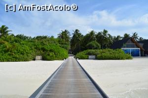 [P01] alea către recepție... vedere dinspre pontonul sosiri-plecări » foto by barbu minel
 - 
<span class="allrVoted glyphicon glyphicon-heart hidden" id="av711352"></span>
<a class="m-l-10 hidden" id="sv711352" onclick="voting_Foto_DelVot(,711352,19932)" role="button">șterge vot <span class="glyphicon glyphicon-remove"></span></a>
<a id="v9711352" class=" c-red"  onclick="voting_Foto_SetVot(711352)" role="button"><span class="glyphicon glyphicon-heart-empty"></span> <b>LIKE</b> = Votează poza</a> <img class="hidden"  id="f711352W9" src="/imagini/loader.gif" border="0" /><span class="AjErrMes hidden" id="e711352ErM"></span>