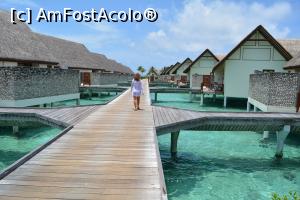 [P182] mai departe » foto by barbu minel
 - 
<span class="allrVoted glyphicon glyphicon-heart hidden" id="av711673"></span>
<a class="m-l-10 hidden" id="sv711673" onclick="voting_Foto_DelVot(,711673,19932)" role="button">șterge vot <span class="glyphicon glyphicon-remove"></span></a>
<a id="v9711673" class=" c-red"  onclick="voting_Foto_SetVot(711673)" role="button"><span class="glyphicon glyphicon-heart-empty"></span> <b>LIKE</b> = Votează poza</a> <img class="hidden"  id="f711673W9" src="/imagini/loader.gif" border="0" /><span class="AjErrMes hidden" id="e711673ErM"></span>