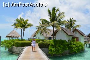 [P183] al doilea nod » foto by barbu minel
 - 
<span class="allrVoted glyphicon glyphicon-heart hidden" id="av711674"></span>
<a class="m-l-10 hidden" id="sv711674" onclick="voting_Foto_DelVot(,711674,19932)" role="button">șterge vot <span class="glyphicon glyphicon-remove"></span></a>
<a id="v9711674" class=" c-red"  onclick="voting_Foto_SetVot(711674)" role="button"><span class="glyphicon glyphicon-heart-empty"></span> <b>LIKE</b> = Votează poza</a> <img class="hidden"  id="f711674W9" src="/imagini/loader.gif" border="0" /><span class="AjErrMes hidden" id="e711674ErM"></span>