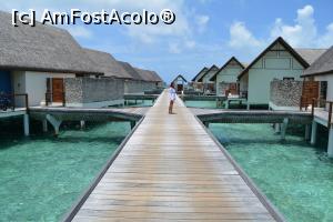 [P184] mai departe » foto by barbu minel
 - 
<span class="allrVoted glyphicon glyphicon-heart hidden" id="av711675"></span>
<a class="m-l-10 hidden" id="sv711675" onclick="voting_Foto_DelVot(,711675,19932)" role="button">șterge vot <span class="glyphicon glyphicon-remove"></span></a>
<a id="v9711675" class=" c-red"  onclick="voting_Foto_SetVot(711675)" role="button"><span class="glyphicon glyphicon-heart-empty"></span> <b>LIKE</b> = Votează poza</a> <img class="hidden"  id="f711675W9" src="/imagini/loader.gif" border="0" /><span class="AjErrMes hidden" id="e711675ErM"></span>