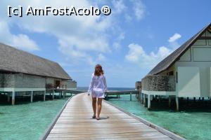 [P185] tot mai departe...  » foto by barbu minel
 - 
<span class="allrVoted glyphicon glyphicon-heart hidden" id="av711676"></span>
<a class="m-l-10 hidden" id="sv711676" onclick="voting_Foto_DelVot(,711676,19932)" role="button">șterge vot <span class="glyphicon glyphicon-remove"></span></a>
<a id="v9711676" class=" c-red"  onclick="voting_Foto_SetVot(711676)" role="button"><span class="glyphicon glyphicon-heart-empty"></span> <b>LIKE</b> = Votează poza</a> <img class="hidden"  id="f711676W9" src="/imagini/loader.gif" border="0" /><span class="AjErrMes hidden" id="e711676ErM"></span>