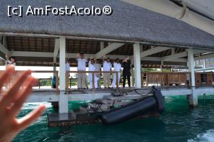 [P187] la revedere!!!  » foto by barbu minel
 - 
<span class="allrVoted glyphicon glyphicon-heart hidden" id="av711678"></span>
<a class="m-l-10 hidden" id="sv711678" onclick="voting_Foto_DelVot(,711678,19932)" role="button">șterge vot <span class="glyphicon glyphicon-remove"></span></a>
<a id="v9711678" class=" c-red"  onclick="voting_Foto_SetVot(711678)" role="button"><span class="glyphicon glyphicon-heart-empty"></span> <b>LIKE</b> = Votează poza</a> <img class="hidden"  id="f711678W9" src="/imagini/loader.gif" border="0" /><span class="AjErrMes hidden" id="e711678ErM"></span>