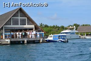 [P189] ! ! !  » foto by barbu minel
 - 
<span class="allrVoted glyphicon glyphicon-heart hidden" id="av711680"></span>
<a class="m-l-10 hidden" id="sv711680" onclick="voting_Foto_DelVot(,711680,19932)" role="button">șterge vot <span class="glyphicon glyphicon-remove"></span></a>
<a id="v9711680" class=" c-red"  onclick="voting_Foto_SetVot(711680)" role="button"><span class="glyphicon glyphicon-heart-empty"></span> <b>LIKE</b> = Votează poza</a> <img class="hidden"  id="f711680W9" src="/imagini/loader.gif" border="0" /><span class="AjErrMes hidden" id="e711680ErM"></span>