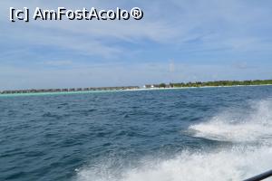 [P191] ... pe valuri...  » foto by barbu minel
 - 
<span class="allrVoted glyphicon glyphicon-heart hidden" id="av711682"></span>
<a class="m-l-10 hidden" id="sv711682" onclick="voting_Foto_DelVot(,711682,19932)" role="button">șterge vot <span class="glyphicon glyphicon-remove"></span></a>
<a id="v9711682" class=" c-red"  onclick="voting_Foto_SetVot(711682)" role="button"><span class="glyphicon glyphicon-heart-empty"></span> <b>LIKE</b> = Votează poza</a> <img class="hidden"  id="f711682W9" src="/imagini/loader.gif" border="0" /><span class="AjErrMes hidden" id="e711682ErM"></span>