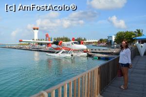 [P195]  -- <small>// FĂRĂ DESCRIERE</small> » foto by barbu minel
 - 
<span class="allrVoted glyphicon glyphicon-heart hidden" id="av711686"></span>
<a class="m-l-10 hidden" id="sv711686" onclick="voting_Foto_DelVot(,711686,19932)" role="button">șterge vot <span class="glyphicon glyphicon-remove"></span></a>
<a id="v9711686" class=" c-red"  onclick="voting_Foto_SetVot(711686)" role="button"><span class="glyphicon glyphicon-heart-empty"></span> <b>LIKE</b> = Votează poza</a> <img class="hidden"  id="f711686W9" src="/imagini/loader.gif" border="0" /><span class="AjErrMes hidden" id="e711686ErM"></span>