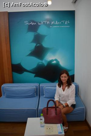 [P197] în sala de așteptare Four Seasons, în aeroportul Male » foto by barbu minel
 - 
<span class="allrVoted glyphicon glyphicon-heart hidden" id="av711688"></span>
<a class="m-l-10 hidden" id="sv711688" onclick="voting_Foto_DelVot(,711688,19932)" role="button">șterge vot <span class="glyphicon glyphicon-remove"></span></a>
<a id="v9711688" class=" c-red"  onclick="voting_Foto_SetVot(711688)" role="button"><span class="glyphicon glyphicon-heart-empty"></span> <b>LIKE</b> = Votează poza</a> <img class="hidden"  id="f711688W9" src="/imagini/loader.gif" border="0" /><span class="AjErrMes hidden" id="e711688ErM"></span>