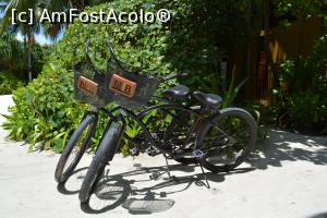 [P03] bicicletele cu inițialele noastre » foto by barbu minel
 - 
<span class="allrVoted glyphicon glyphicon-heart hidden" id="av711355"></span>
<a class="m-l-10 hidden" id="sv711355" onclick="voting_Foto_DelVot(,711355,19932)" role="button">șterge vot <span class="glyphicon glyphicon-remove"></span></a>
<a id="v9711355" class=" c-red"  onclick="voting_Foto_SetVot(711355)" role="button"><span class="glyphicon glyphicon-heart-empty"></span> <b>LIKE</b> = Votează poza</a> <img class="hidden"  id="f711355W9" src="/imagini/loader.gif" border="0" /><span class="AjErrMes hidden" id="e711355ErM"></span>