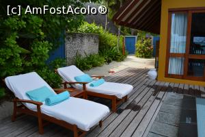 [P34]  -- <small>// FĂRĂ DESCRIERE</small> » foto by barbu minel
 - 
<span class="allrVoted glyphicon glyphicon-heart hidden" id="av711393"></span>
<a class="m-l-10 hidden" id="sv711393" onclick="voting_Foto_DelVot(,711393,19932)" role="button">șterge vot <span class="glyphicon glyphicon-remove"></span></a>
<a id="v9711393" class=" c-red"  onclick="voting_Foto_SetVot(711393)" role="button"><span class="glyphicon glyphicon-heart-empty"></span> <b>LIKE</b> = Votează poza</a> <img class="hidden"  id="f711393W9" src="/imagini/loader.gif" border="0" /><span class="AjErrMes hidden" id="e711393ErM"></span>