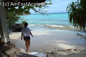 [P39] ieșirea la ocean » foto by barbu minel
 - 
<span class="allrVoted glyphicon glyphicon-heart hidden" id="av711398"></span>
<a class="m-l-10 hidden" id="sv711398" onclick="voting_Foto_DelVot(,711398,19932)" role="button">șterge vot <span class="glyphicon glyphicon-remove"></span></a>
<a id="v9711398" class=" c-red"  onclick="voting_Foto_SetVot(711398)" role="button"><span class="glyphicon glyphicon-heart-empty"></span> <b>LIKE</b> = Votează poza</a> <img class="hidden"  id="f711398W9" src="/imagini/loader.gif" border="0" /><span class="AjErrMes hidden" id="e711398ErM"></span>