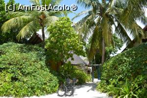 [P04] alea către căsuța noastră » foto by barbu minel
 - 
<span class="allrVoted glyphicon glyphicon-heart hidden" id="av711356"></span>
<a class="m-l-10 hidden" id="sv711356" onclick="voting_Foto_DelVot(,711356,19932)" role="button">șterge vot <span class="glyphicon glyphicon-remove"></span></a>
<a id="v9711356" class=" c-red"  onclick="voting_Foto_SetVot(711356)" role="button"><span class="glyphicon glyphicon-heart-empty"></span> <b>LIKE</b> = Votează poza</a> <img class="hidden"  id="f711356W9" src="/imagini/loader.gif" border="0" /><span class="AjErrMes hidden" id="e711356ErM"></span>