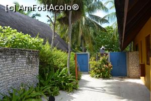 [P40] curtea, stânga poarta de intrare, dreapta portița spre dușul de afară » foto by barbu minel
 - 
<span class="allrVoted glyphicon glyphicon-heart hidden" id="av711399"></span>
<a class="m-l-10 hidden" id="sv711399" onclick="voting_Foto_DelVot(,711399,19932)" role="button">șterge vot <span class="glyphicon glyphicon-remove"></span></a>
<a id="v9711399" class=" c-red"  onclick="voting_Foto_SetVot(711399)" role="button"><span class="glyphicon glyphicon-heart-empty"></span> <b>LIKE</b> = Votează poza</a> <img class="hidden"  id="f711399W9" src="/imagini/loader.gif" border="0" /><span class="AjErrMes hidden" id="e711399ErM"></span>