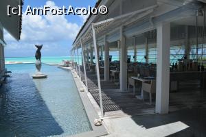 [P43] restaurant a la carte BLU specific mediteranean » foto by barbu minel
 - 
<span class="allrVoted glyphicon glyphicon-heart hidden" id="av711492"></span>
<a class="m-l-10 hidden" id="sv711492" onclick="voting_Foto_DelVot(,711492,19932)" role="button">șterge vot <span class="glyphicon glyphicon-remove"></span></a>
<a id="v9711492" class=" c-red"  onclick="voting_Foto_SetVot(711492)" role="button"><span class="glyphicon glyphicon-heart-empty"></span> <b>LIKE</b> = Votează poza</a> <img class="hidden"  id="f711492W9" src="/imagini/loader.gif" border="0" /><span class="AjErrMes hidden" id="e711492ErM"></span>