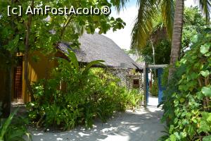 [P51]  -- <small>// FĂRĂ DESCRIERE</small> » foto by barbu minel
 - 
<span class="allrVoted glyphicon glyphicon-heart hidden" id="av711504"></span>
<a class="m-l-10 hidden" id="sv711504" onclick="voting_Foto_DelVot(,711504,19932)" role="button">șterge vot <span class="glyphicon glyphicon-remove"></span></a>
<a id="v9711504" class=" c-red"  onclick="voting_Foto_SetVot(711504)" role="button"><span class="glyphicon glyphicon-heart-empty"></span> <b>LIKE</b> = Votează poza</a> <img class="hidden"  id="f711504W9" src="/imagini/loader.gif" border="0" /><span class="AjErrMes hidden" id="e711504ErM"></span>