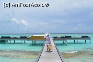 [P54] pontonul unde se organiza de la 22, hrănirea rechinilor și a pisicilor de mare » foto by barbu minel
 - 
<span class="allrVoted glyphicon glyphicon-heart hidden" id="av711507"></span>
<a class="m-l-10 hidden" id="sv711507" onclick="voting_Foto_DelVot(,711507,19932)" role="button">șterge vot <span class="glyphicon glyphicon-remove"></span></a>
<a id="v9711507" class=" c-red"  onclick="voting_Foto_SetVot(711507)" role="button"><span class="glyphicon glyphicon-heart-empty"></span> <b>LIKE</b> = Votează poza</a> <img class="hidden"  id="f711507W9" src="/imagini/loader.gif" border="0" /><span class="AjErrMes hidden" id="e711507ErM"></span>